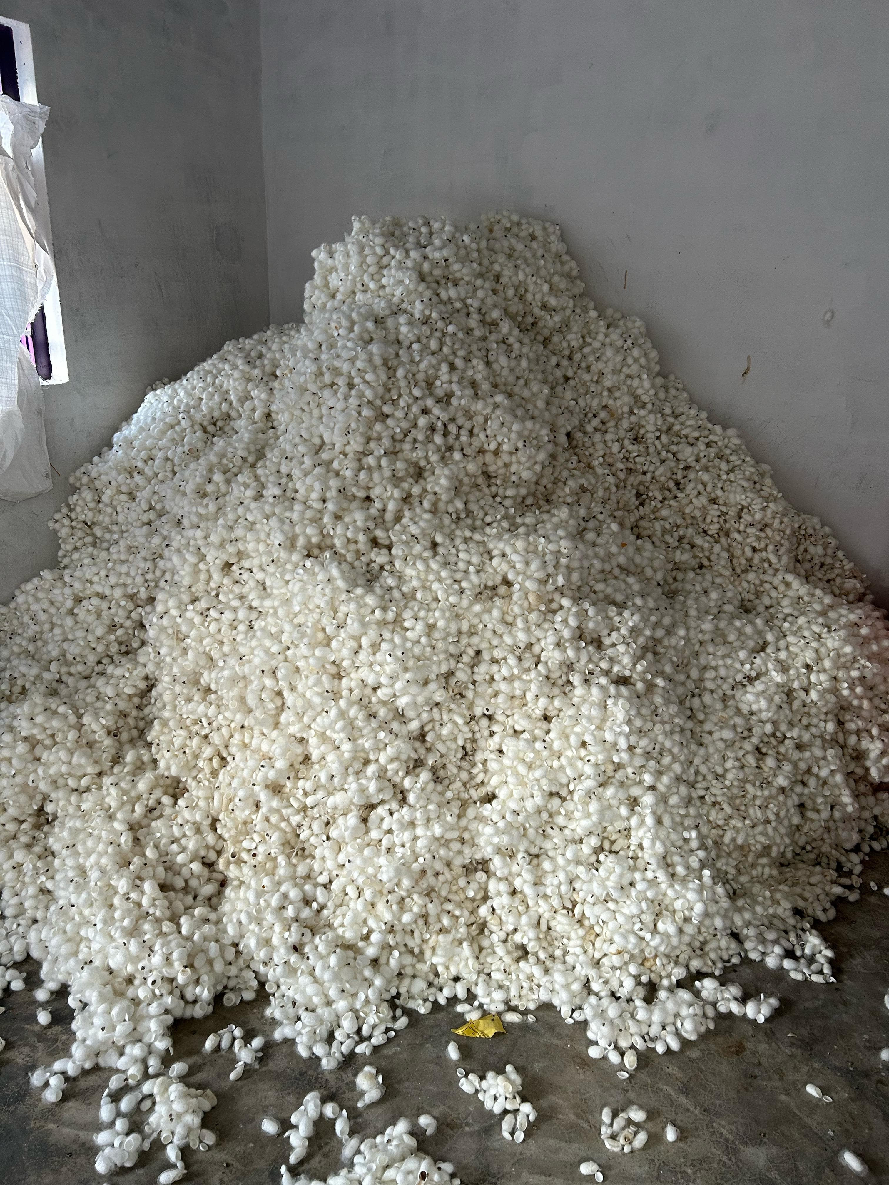 Silk Waste Cut Cocoons